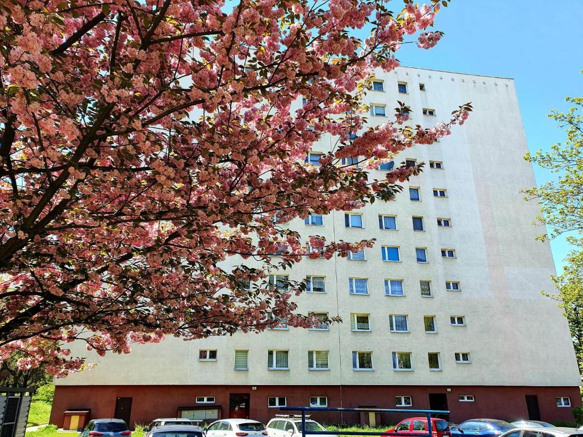 Happy Stay Gliwice Zewnętrze zdjęcie